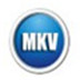 闪电MKV AVI转换器 V10.