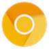 谷歌浏览器(Chrome Canary) V93.0.4530.3 金丝雀版