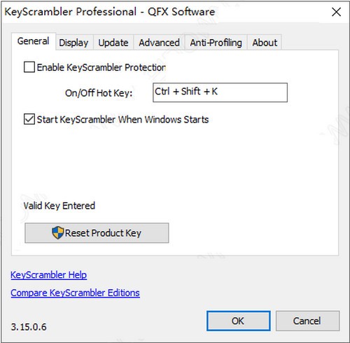 KeyScrambler Professional