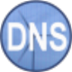 Simple DNS Plus（DNS服务