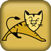 Tomcat服务器软件 V10.0
