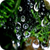 护眼系列之雨滴的魅力锁屏 v1.5