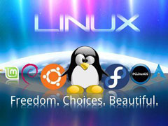 Linux系统如何查看和结束进程？