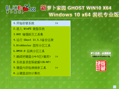 萝卜家园 GHOST WIN10 X64 装机专业版 V2018.05 (64位)