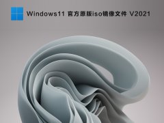 Windows11 官方原版iso镜像文件 V2021
