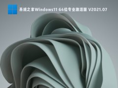 系统之家Windows11 64位专业激活版 V2021.07