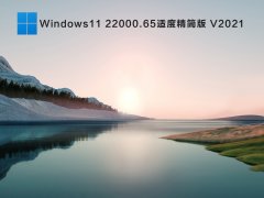 Windows11 22000.65适度精简版 V2021
