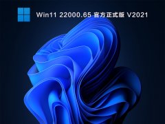 Win11 22000.65 官方正式版 V2021