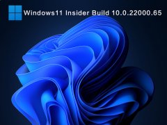 Windows11 Insider Build 10.0.22000.65（KB5004745）V2021