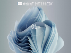 全新Windows11 22000.120 专业纯净版 V2021.08