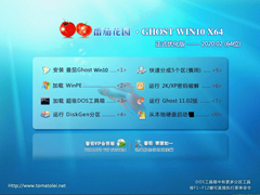 番茄花园 GHOST WIN10 X64 正式优化版 V2020.02（64位）