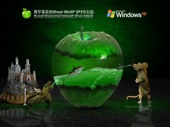 青苹果系统 Ghost WinXP SP3 流畅精简版 V2022.03