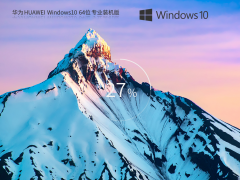 华为 HUAWEI Windows10 22H2 64位 专业装机版 V2023.08